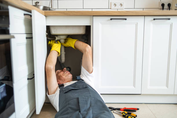 Best Commercial Plumbing Services  in Romney, WV